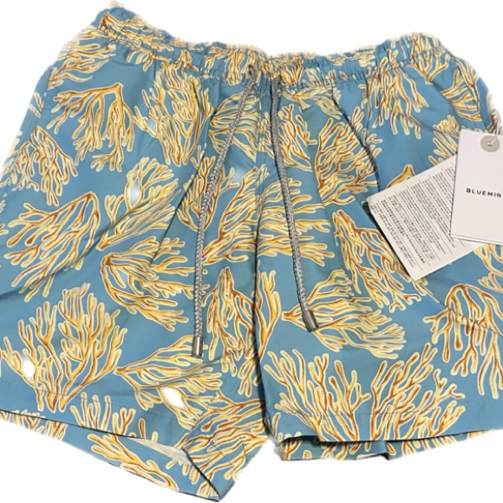 Bluemint arthus blue swim trunks NWT size small above the knee